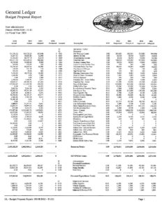 2020-21 budget