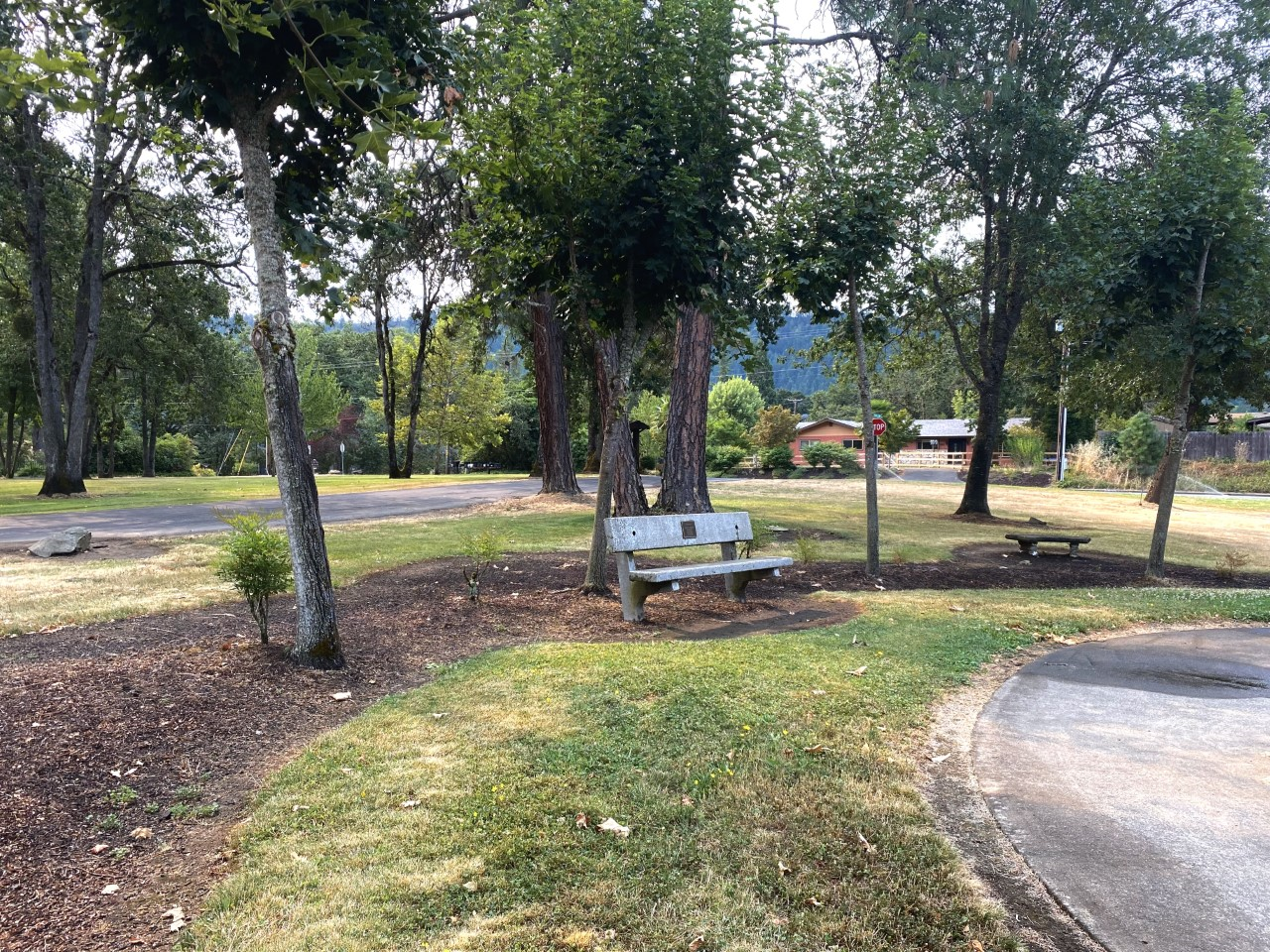 community park memorial bench view