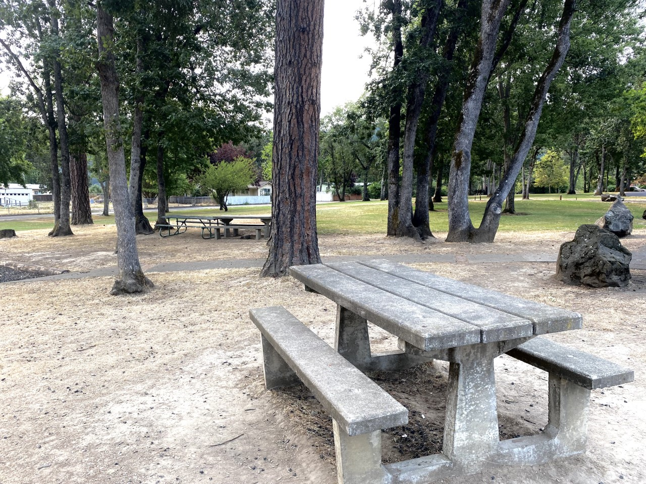 community park picnic table view 2