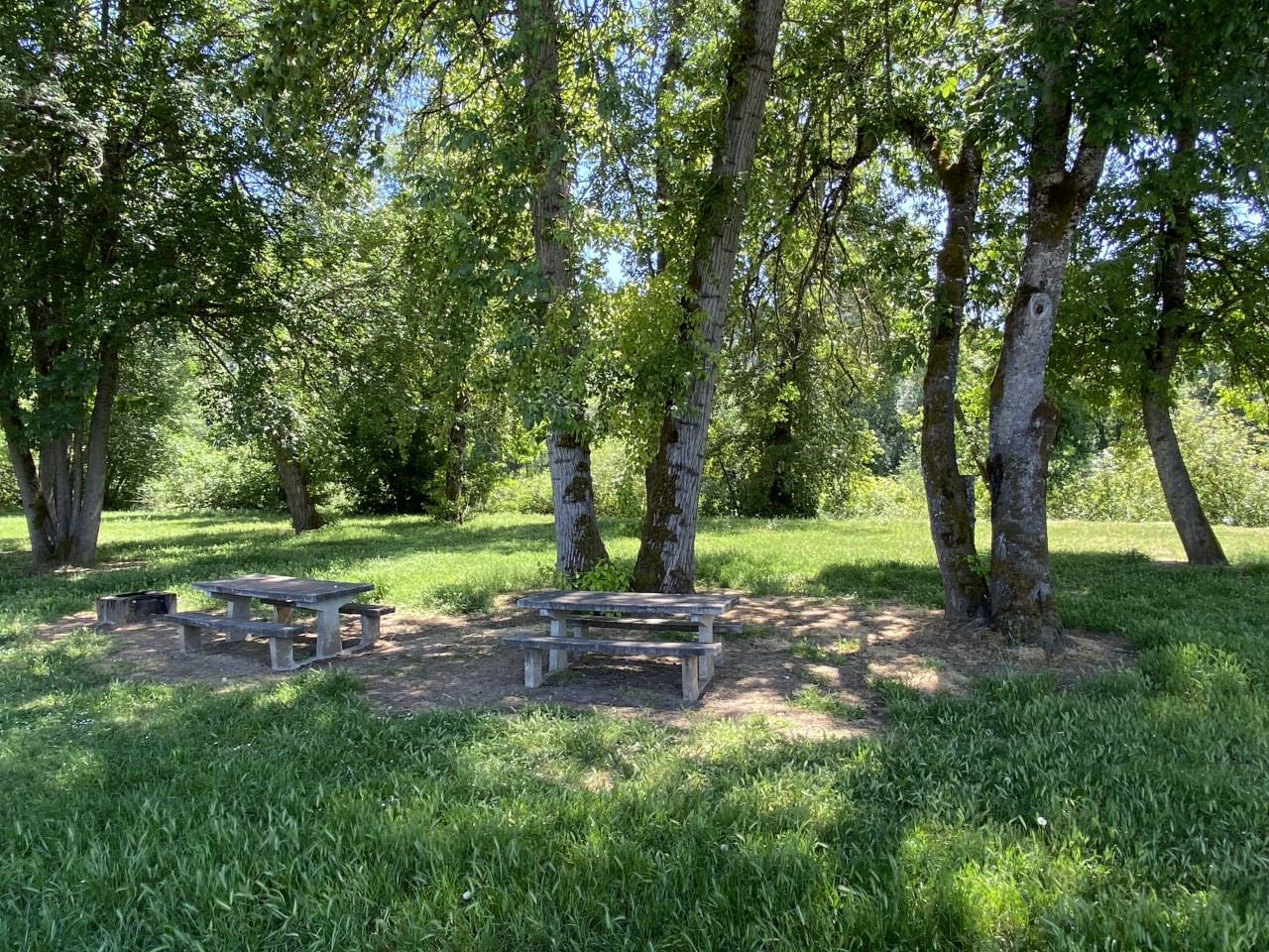 rb park picknick