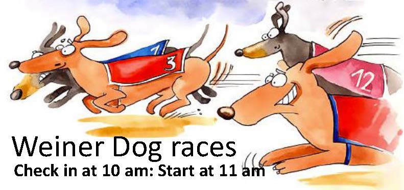 weiner dog race -website